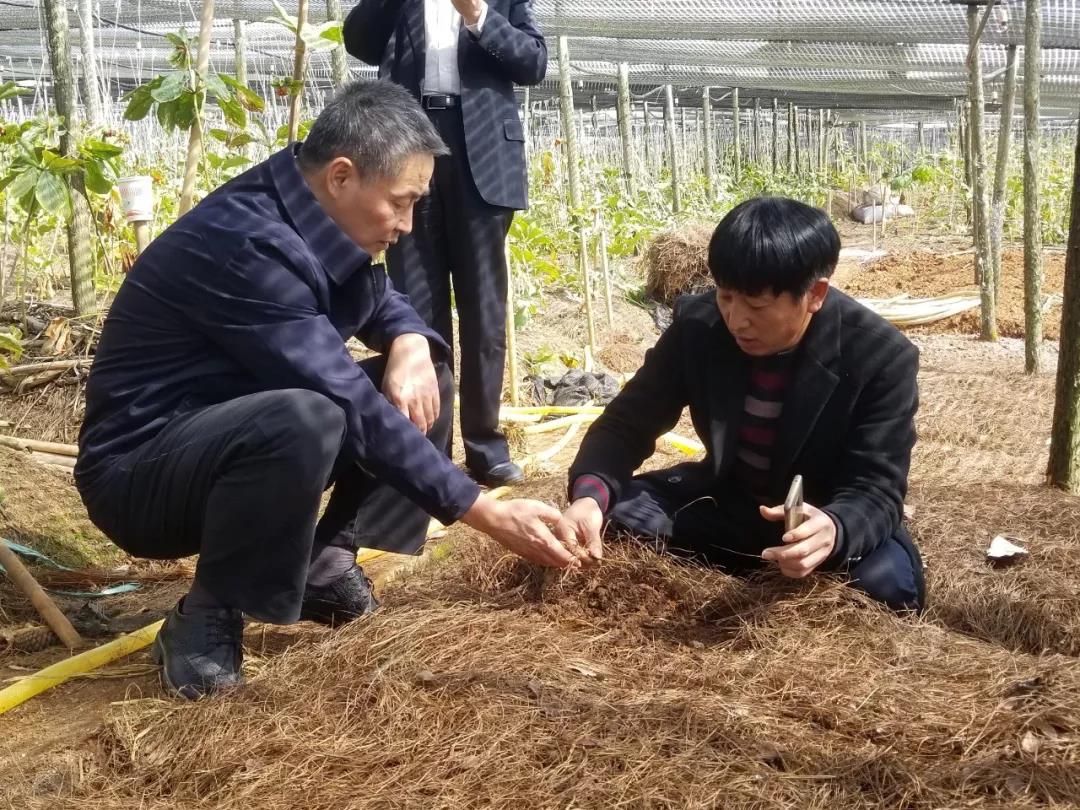 PP电子·仿照器(试玩游戏)官方网站