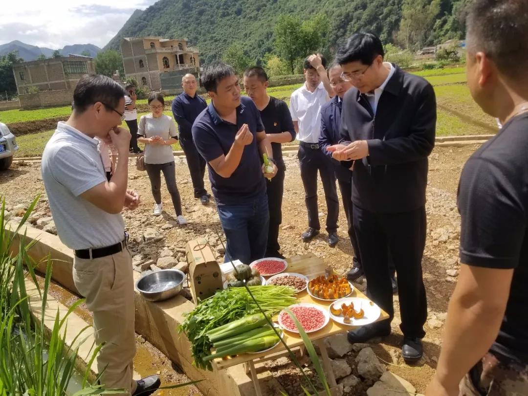 PP电子·仿照器(试玩游戏)官方网站