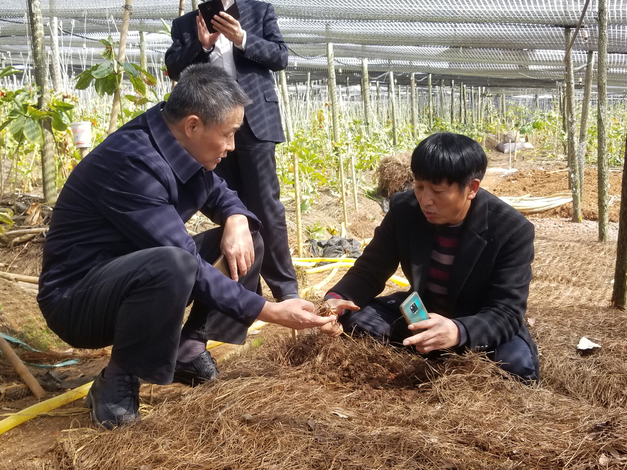 B928BEA29D534635E13467CCF43_5DC2C168_29953D.jpg?e= PP电子·仿照器(试玩游戏)官方网站