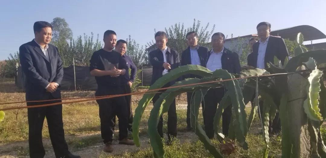 PP电子·仿照器(试玩游戏)官方网站
