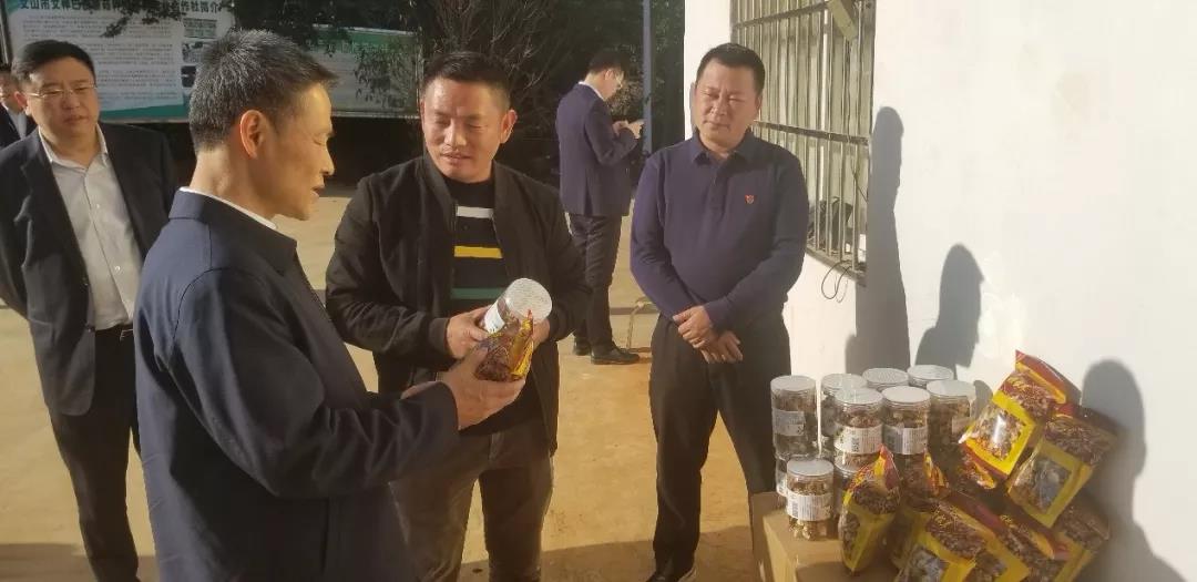 PP电子·仿照器(试玩游戏)官方网站