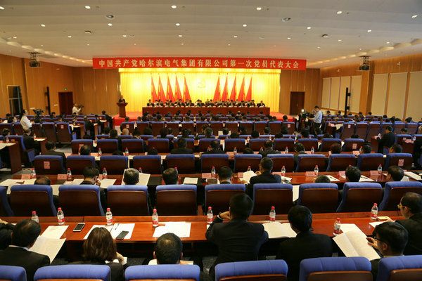 中国共产党pp电子第一次党员代表大会隆沉召开