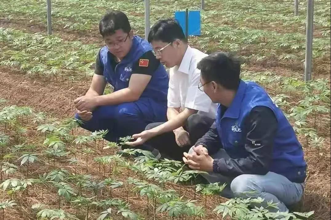 PP电子·仿照器(试玩游戏)官方网站